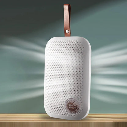 Compact Moisture Absorber & Dehumidifier